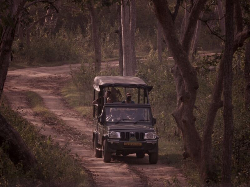Bandipur Safari Lodge