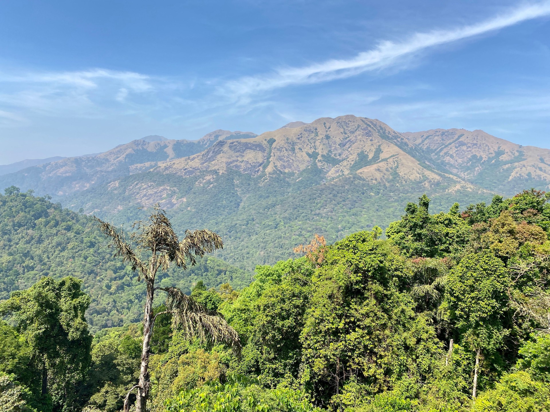 Beautiful view of the hills and forests of the Western ghats
