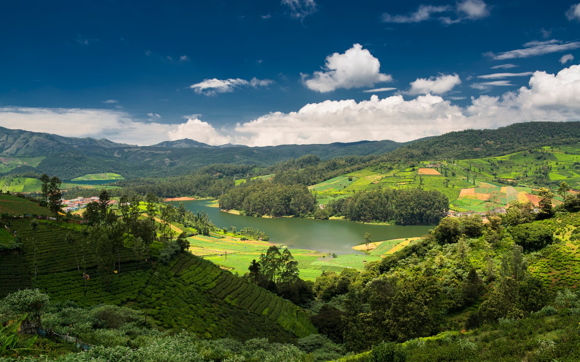 Tea plantations around the Emerald Lake in Ooty