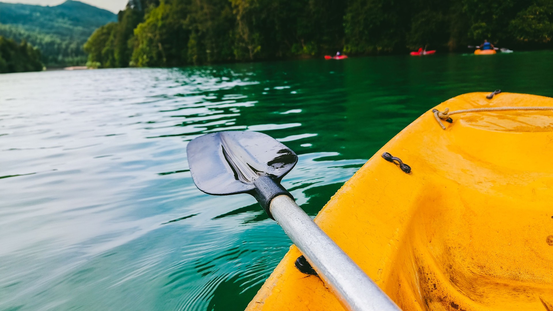 Kayak on the emerald water of the tropical forest, Dandeli, India.