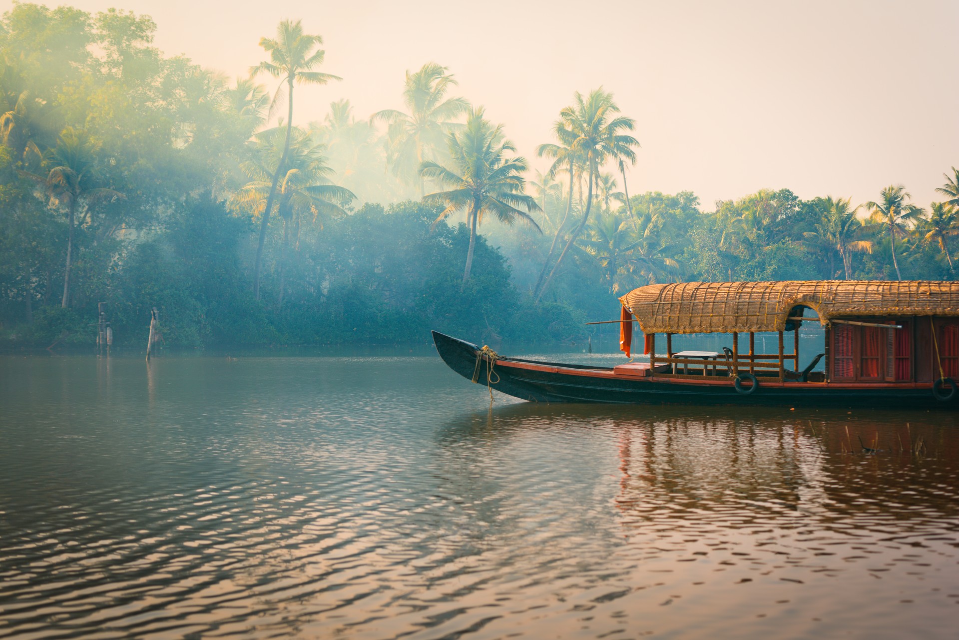 House boat anchored in lake with jungle background, Backwaters, Kerala, India