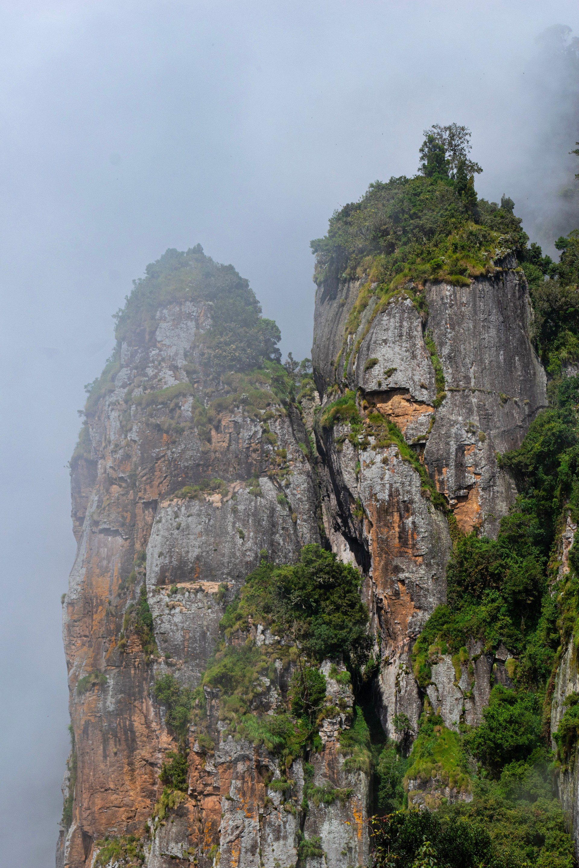 A picture of piller rock covered in mist in Kodaikanal,Tamil Nadu,India